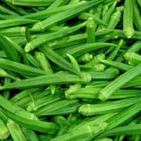 Fresh Lady Finger Manufacturer Supplier Wholesale Exporter Importer Buyer Trader Retailer in penukonda Andhra Pradesh India